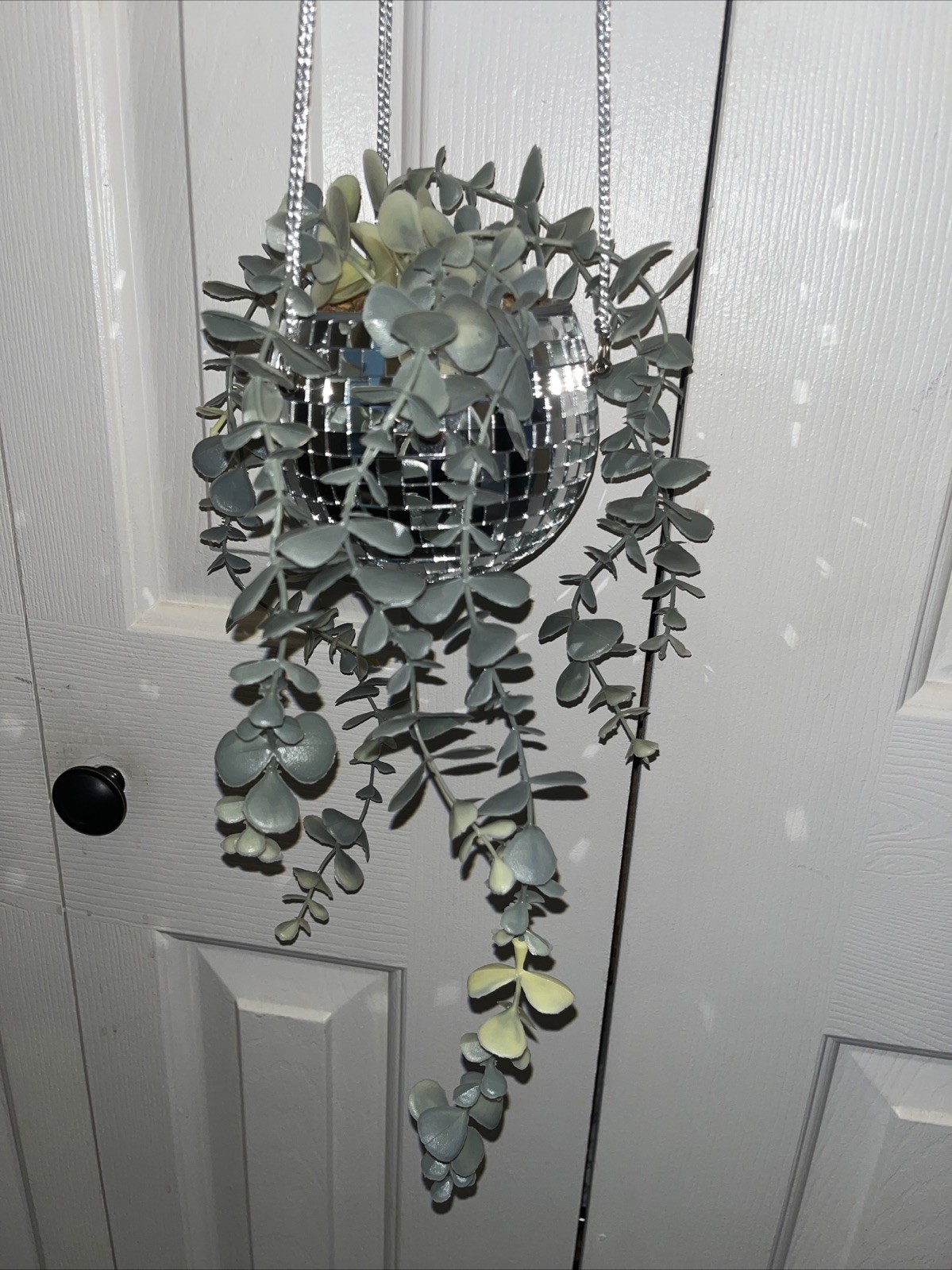 Disco Ball Hanging Plant 24”