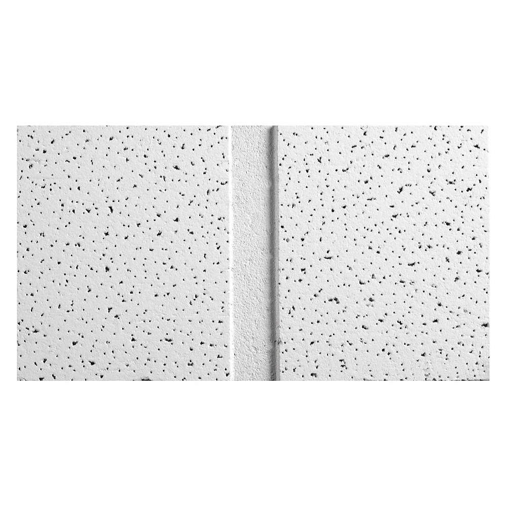 ARMSTRONG 1761C Ceiling Tile,48 in L,24 in W,PK10 22XJ42