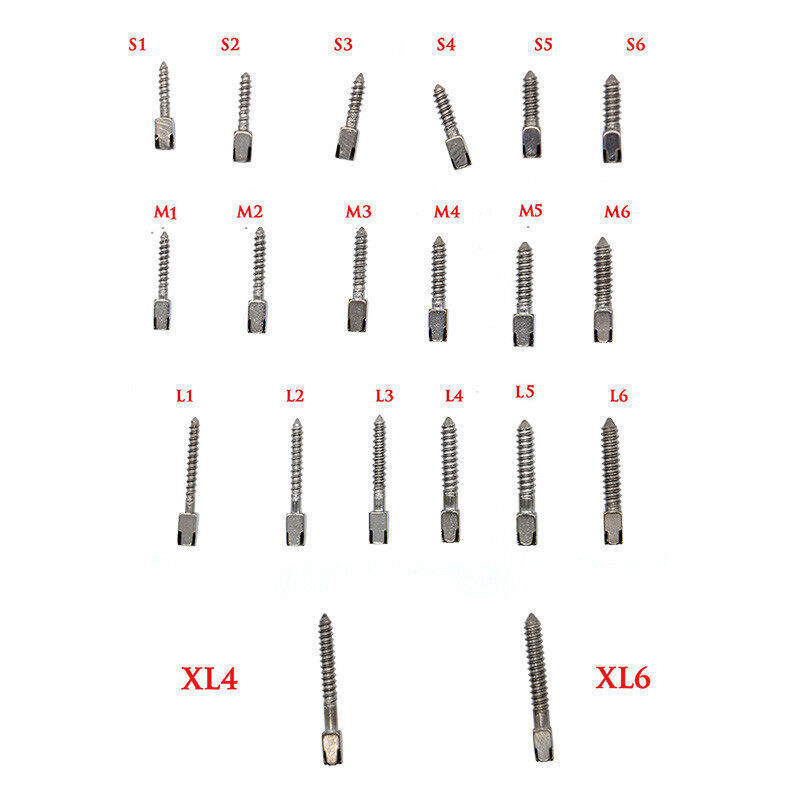 12-60 Dental All Size Pure Titanium Assorted Conical Screw Posts Root Canal Pin