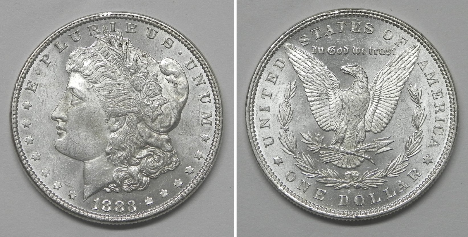 X6159  1883 Morgan Dollar, Choice BU Prooflike