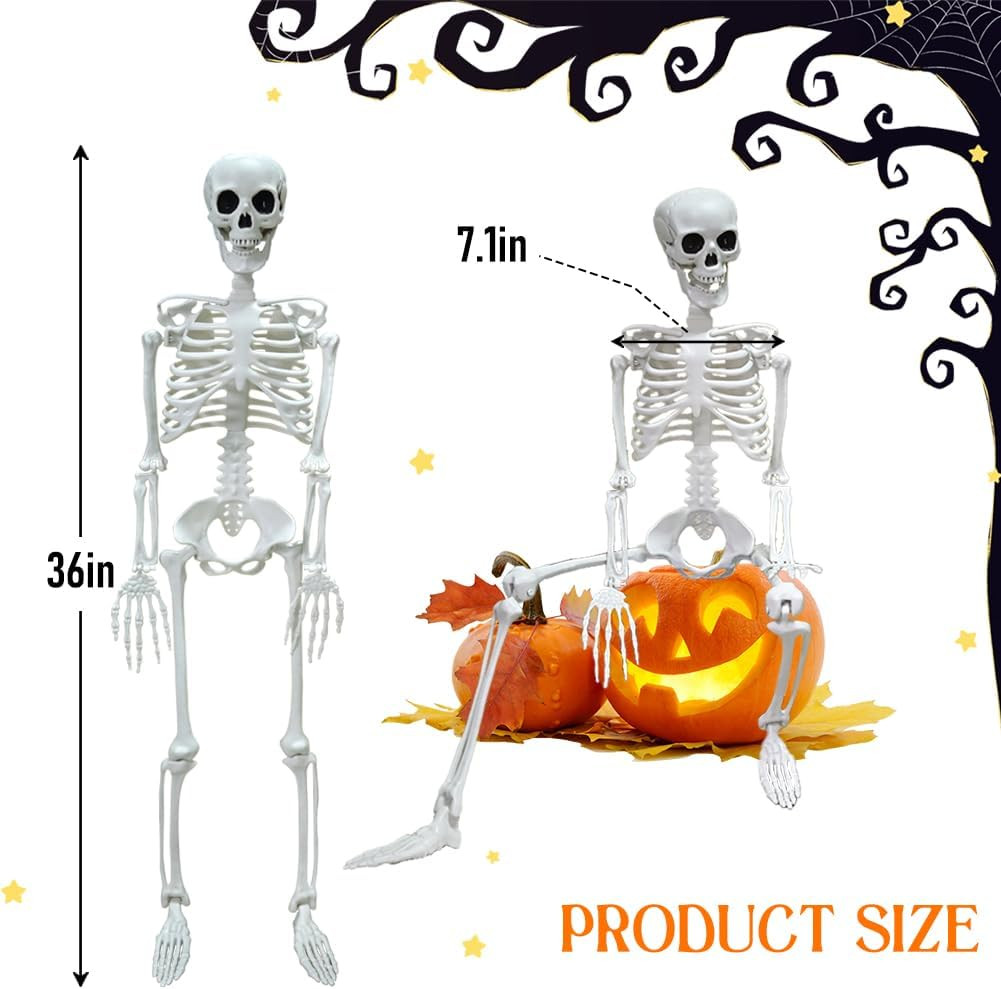 2PACK 36" Skeleton Halloween Decorations, 3FT Skeleton with Movable Joints | Pla