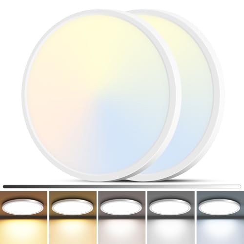 2Pack LED Flush Mount Ceiling Light, 12Inch 24W Dimmable 12"(2pack) White