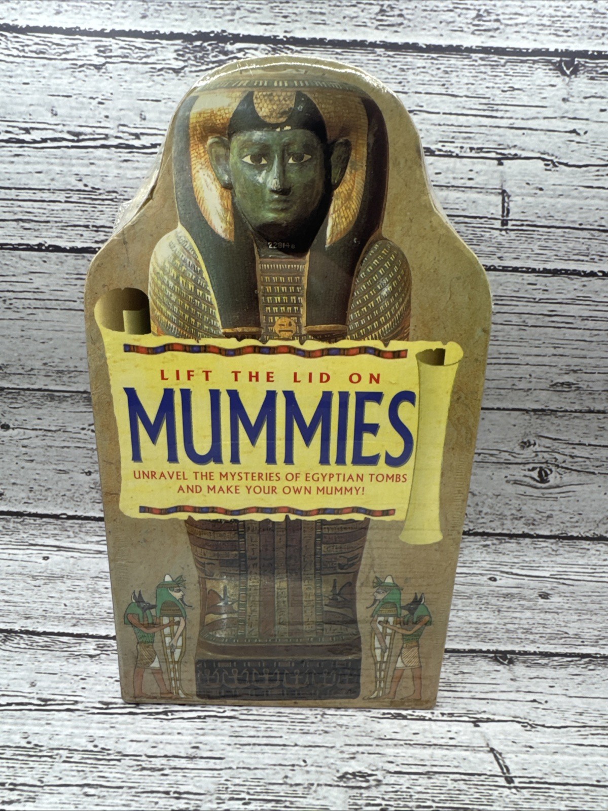 Lift the Lid on Mummies Unravel the Mysteries of Egyptian Tombs Make Your Own