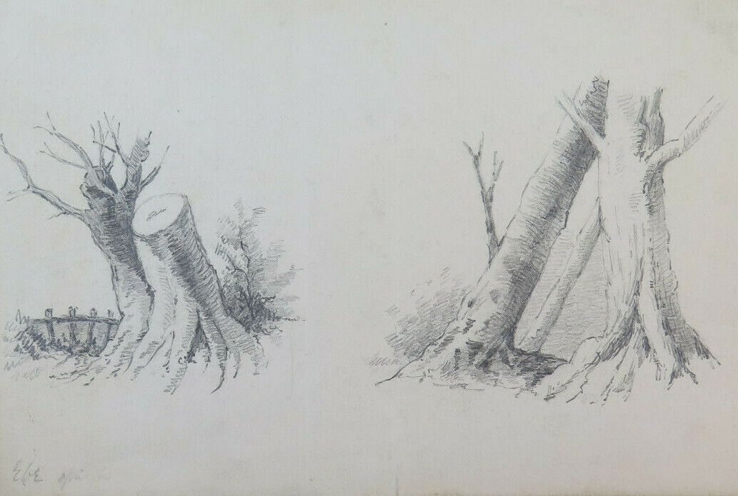 Antique Pencil Drawing On Paper Cut Trees Countryside Signed Frame BM53.5B