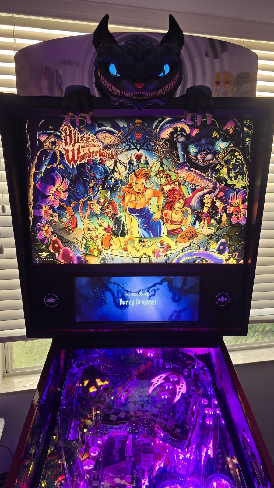Alice's adventures in wonderland Dutch Pinball #141 Of 500 LIMITED EDITION