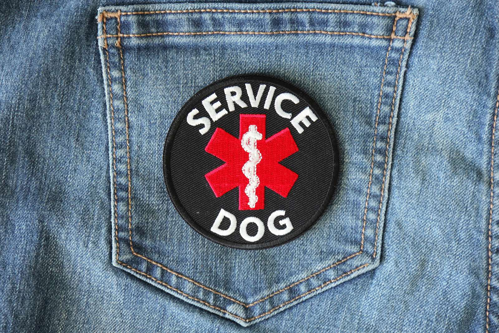 Service Dog Patch - 3x3 inch - P7040