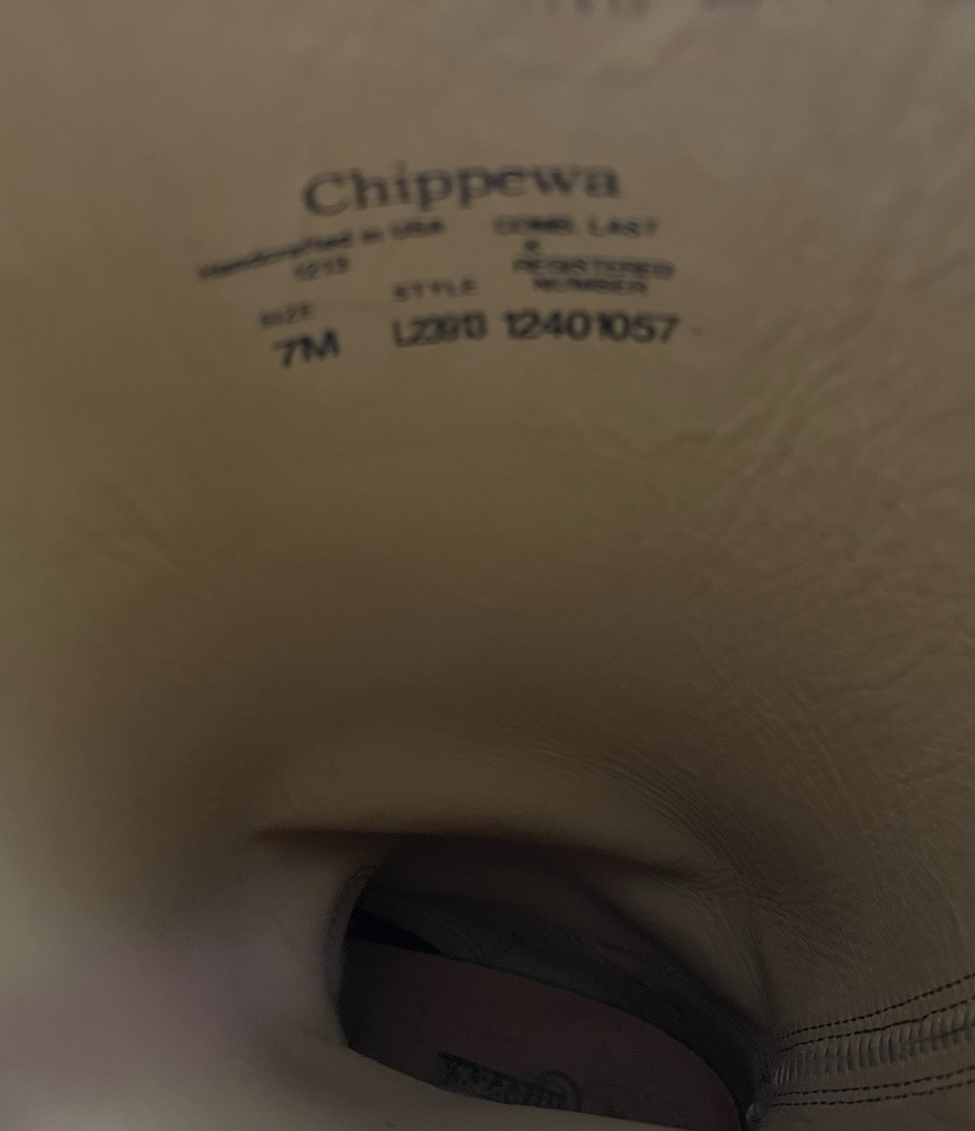 Chippewa Snake Boots pre owned