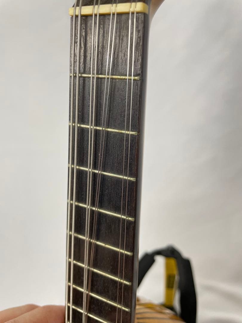 SUZUKI Classic Mandolin No.10