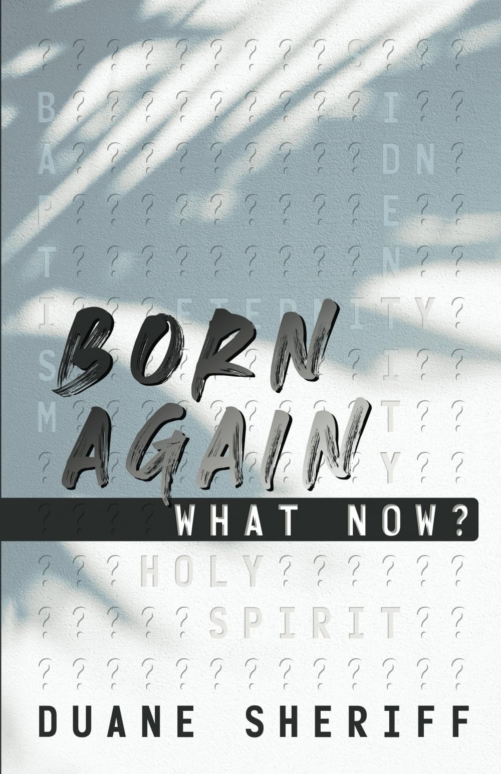 Born Again What Now?