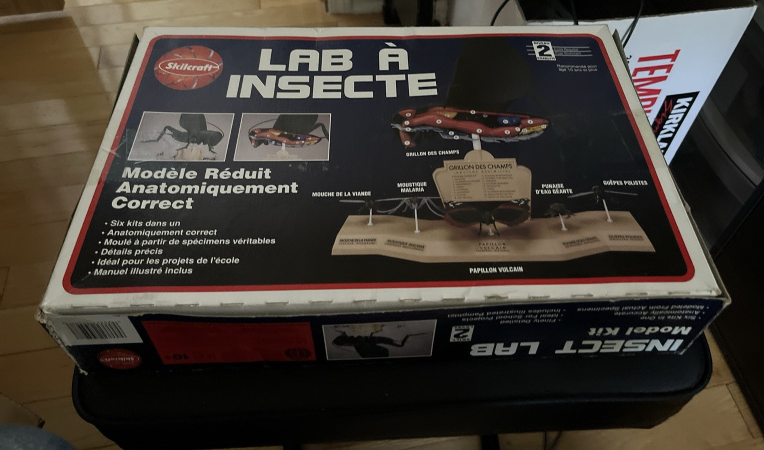 Skilcraft Insect Lab Model Kit sealed box Complete 6 diff Insect Anatomy Models