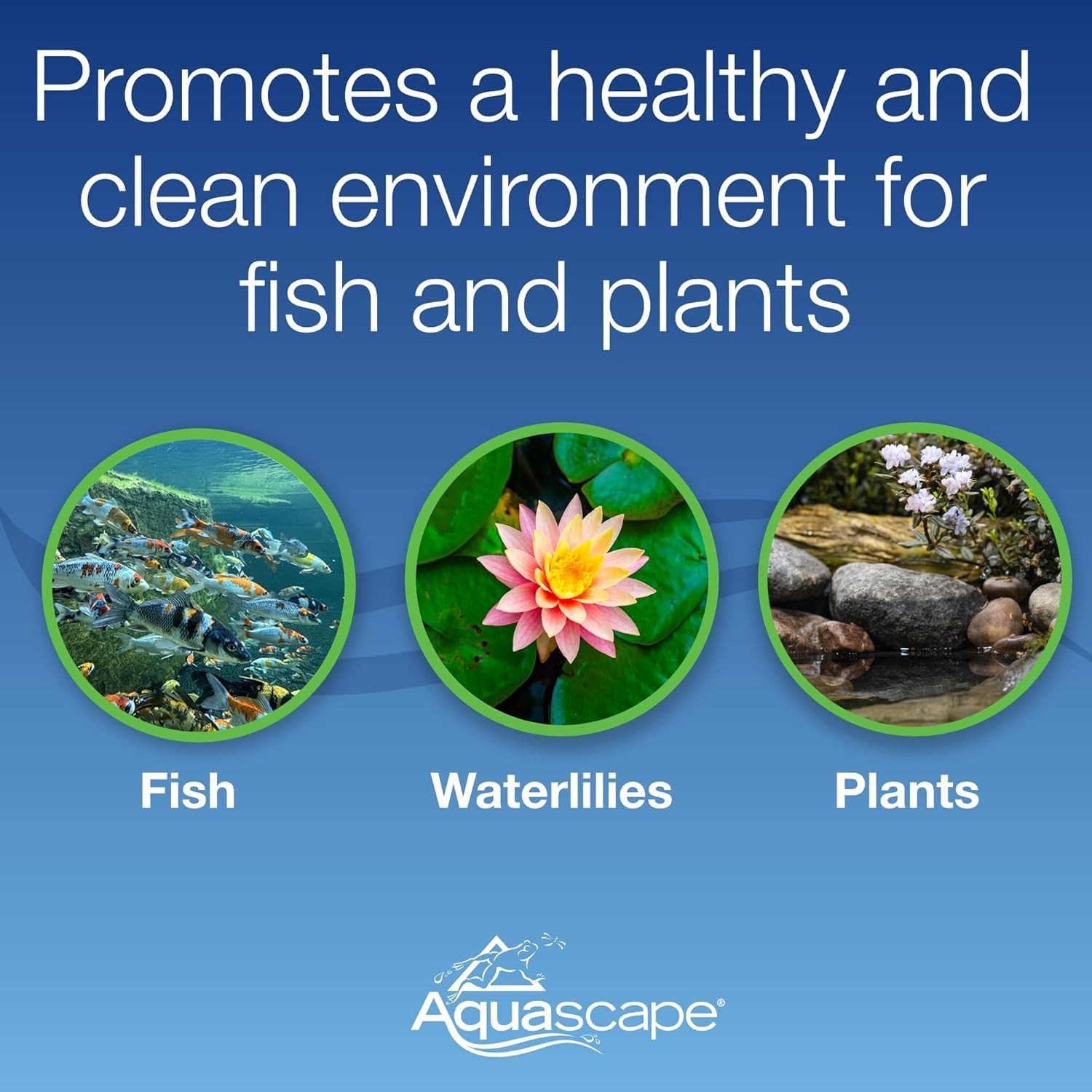 Durable Pond Aerator System: 2 Outlets, Easy Maintenance