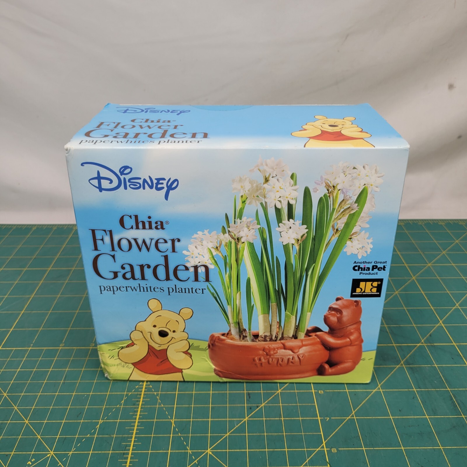 Disney Winnie The Pooh Chia Paperwhites Flower Garden In Box
