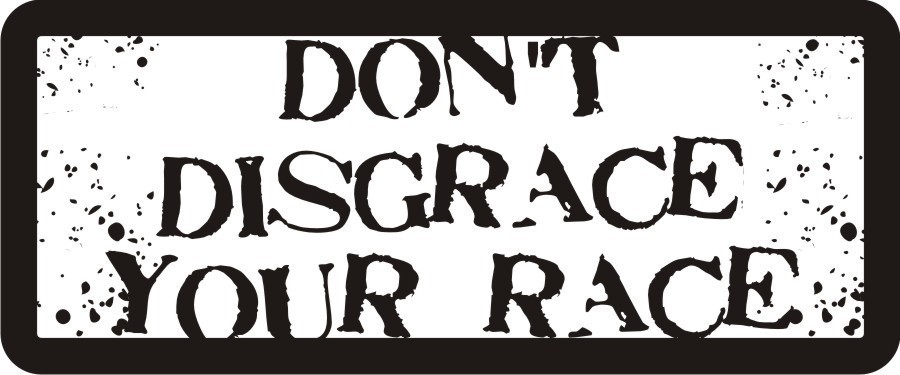 3 - Don't Disgrace Your Race Hard Hat / Biker Helmet Sticker  BS121