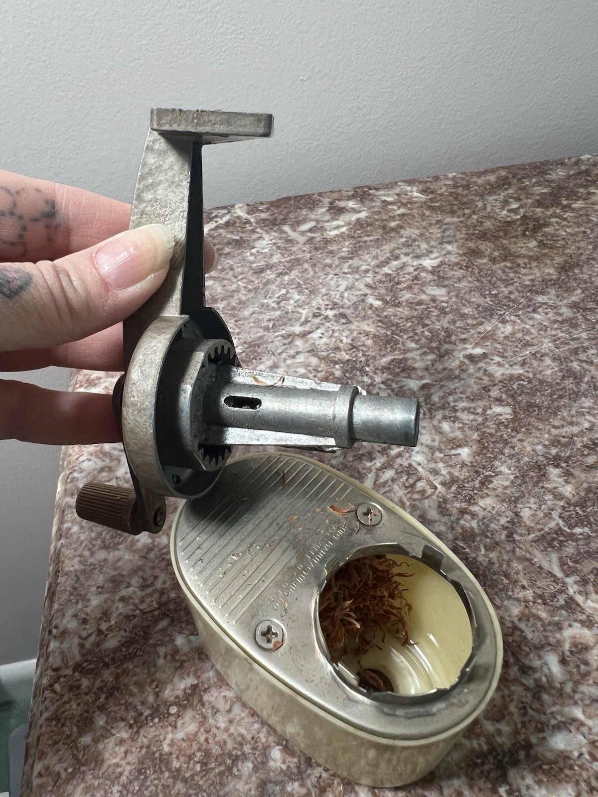 Vtg. Boston Bulldog Wall mount Pencil Sharpener