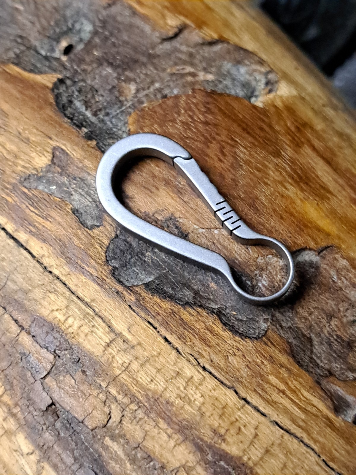 Pro Mini Series Titanium Carabiner