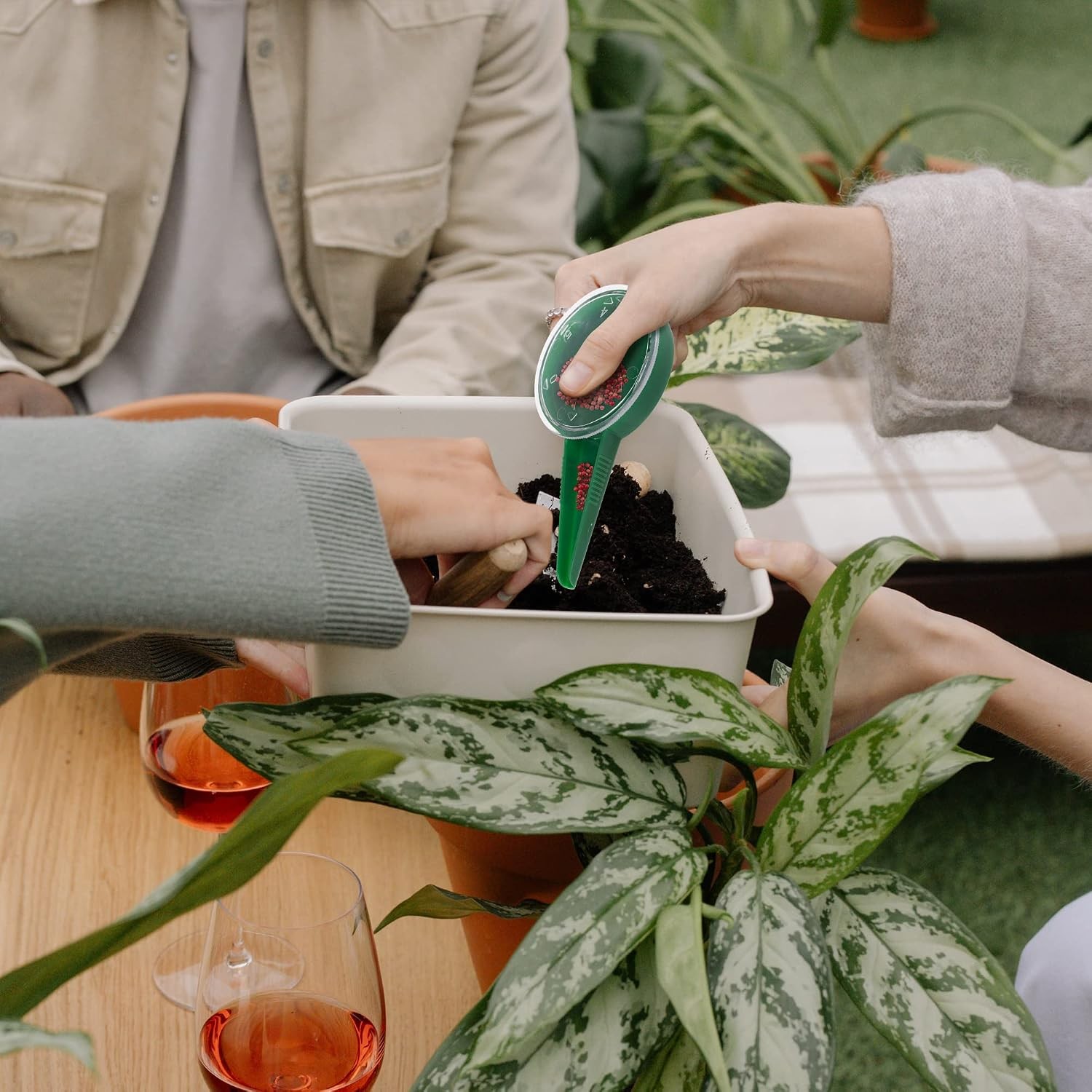 2 Pieces Seed Spreader Handheld Seed Planter Tool Seed Sower for Tiny Seeds,