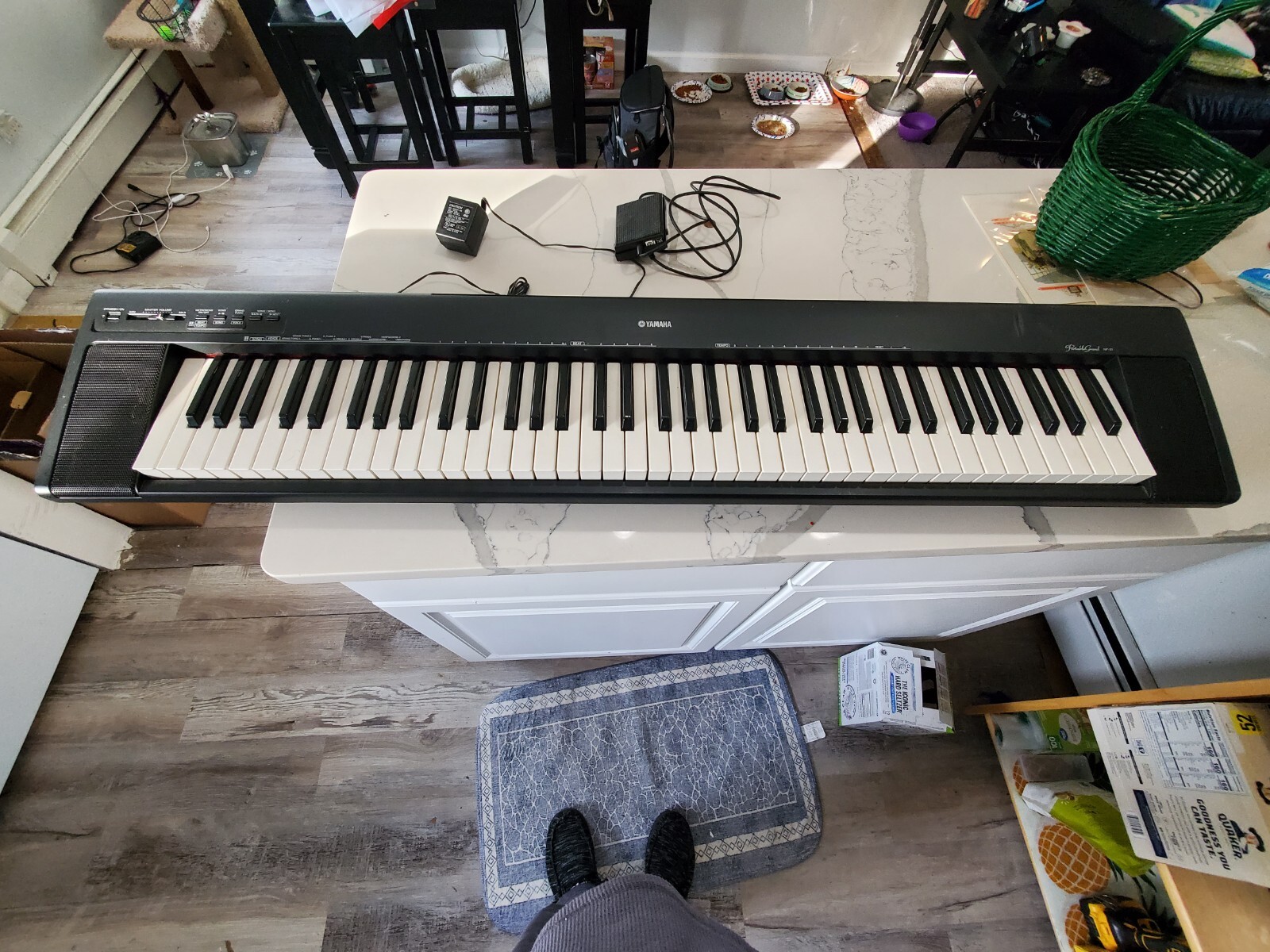 Yamaha Np-30 Portable Grand Piano. Works Great . Small Burn Top Right. See Pics