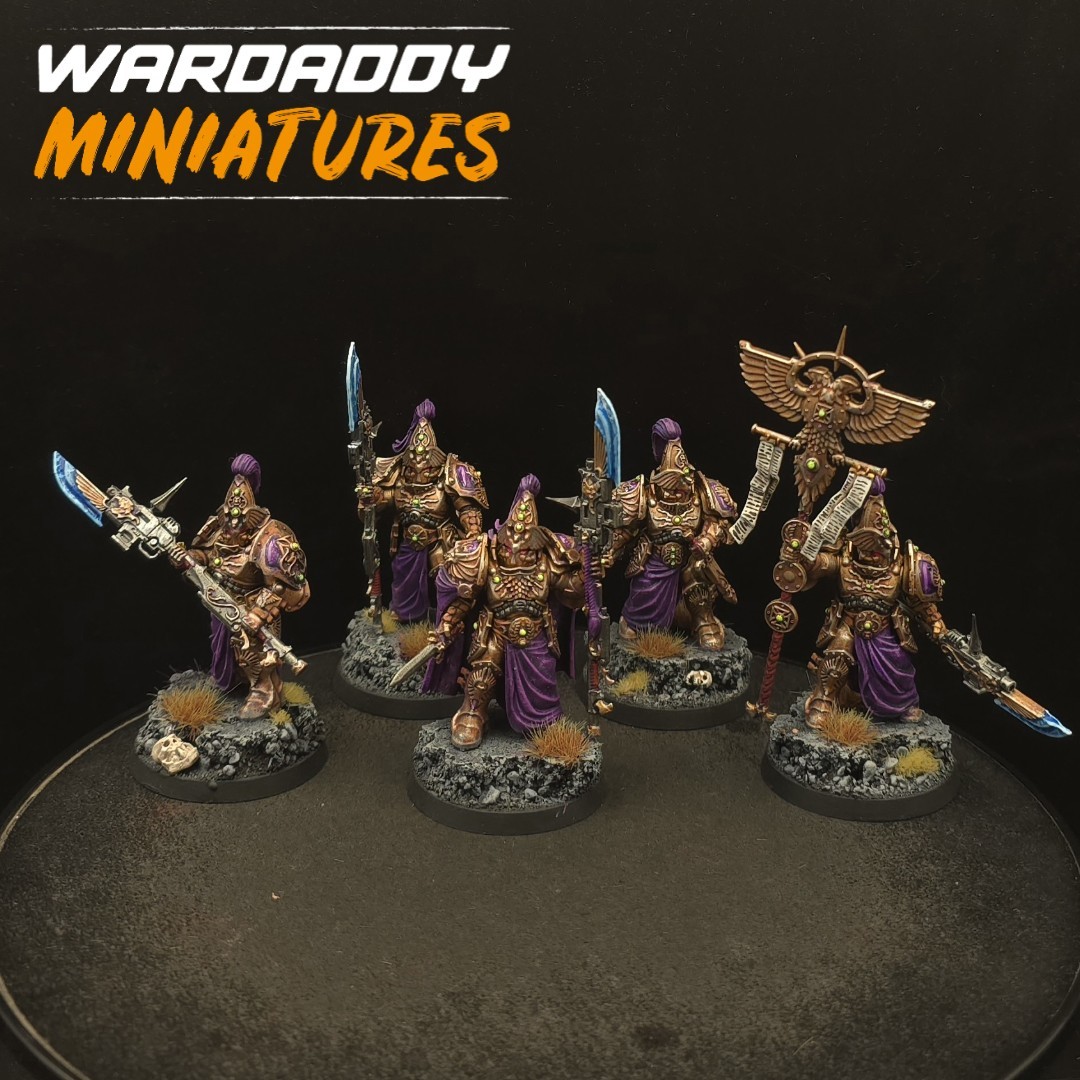 Pro Painted Warhammer 40k Custodes Wardens ×5 Custodian Vexilla Games Workshop