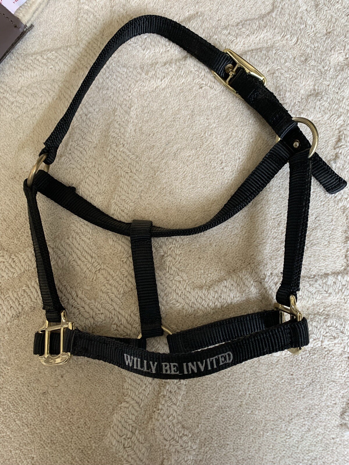 Large Foal Pony Halter NWOT Willy Be Invited