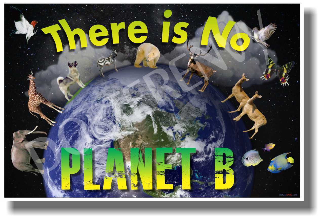 There Is No Planet B - NEW Classroom Environmental Poster (cm950)