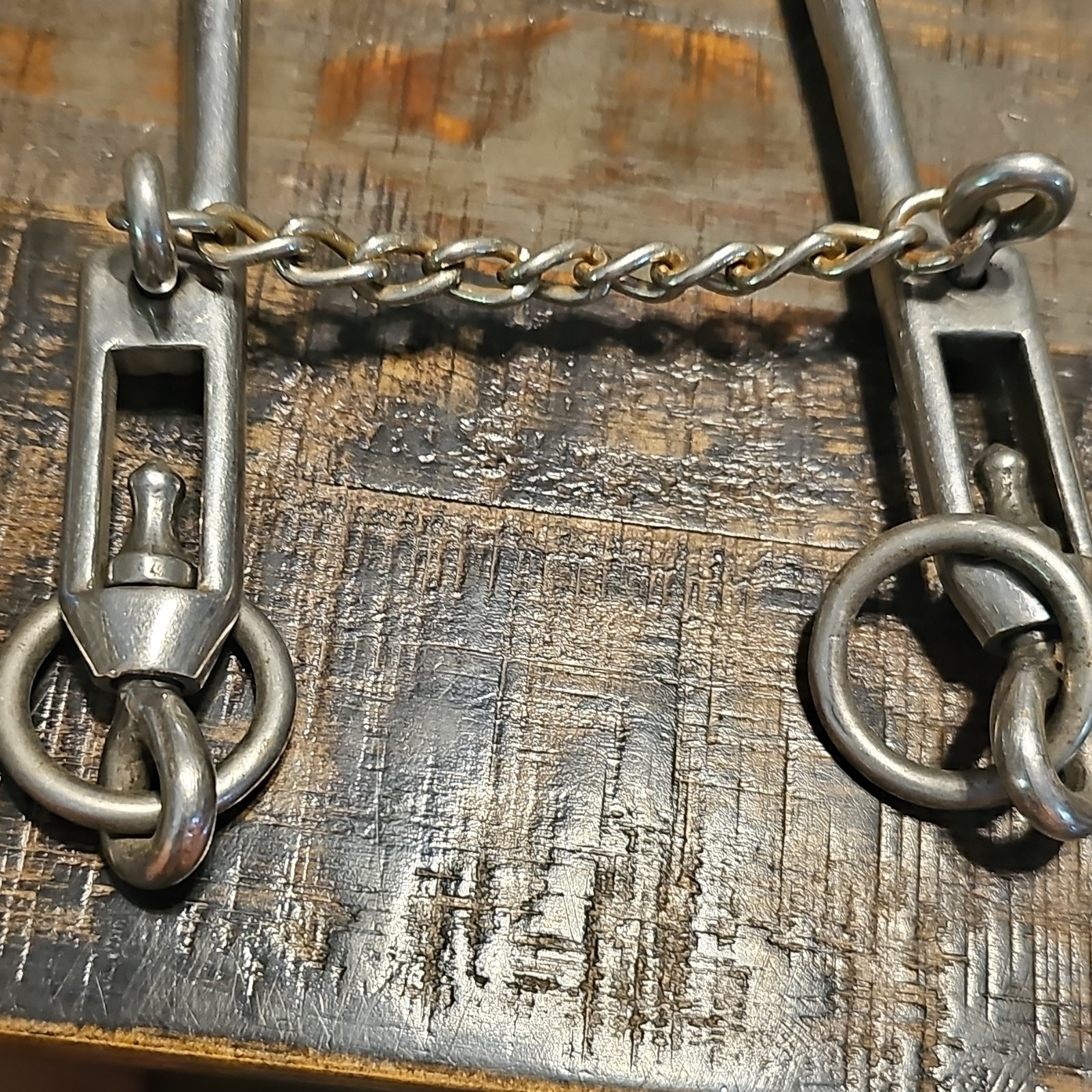Walking Horse Bit