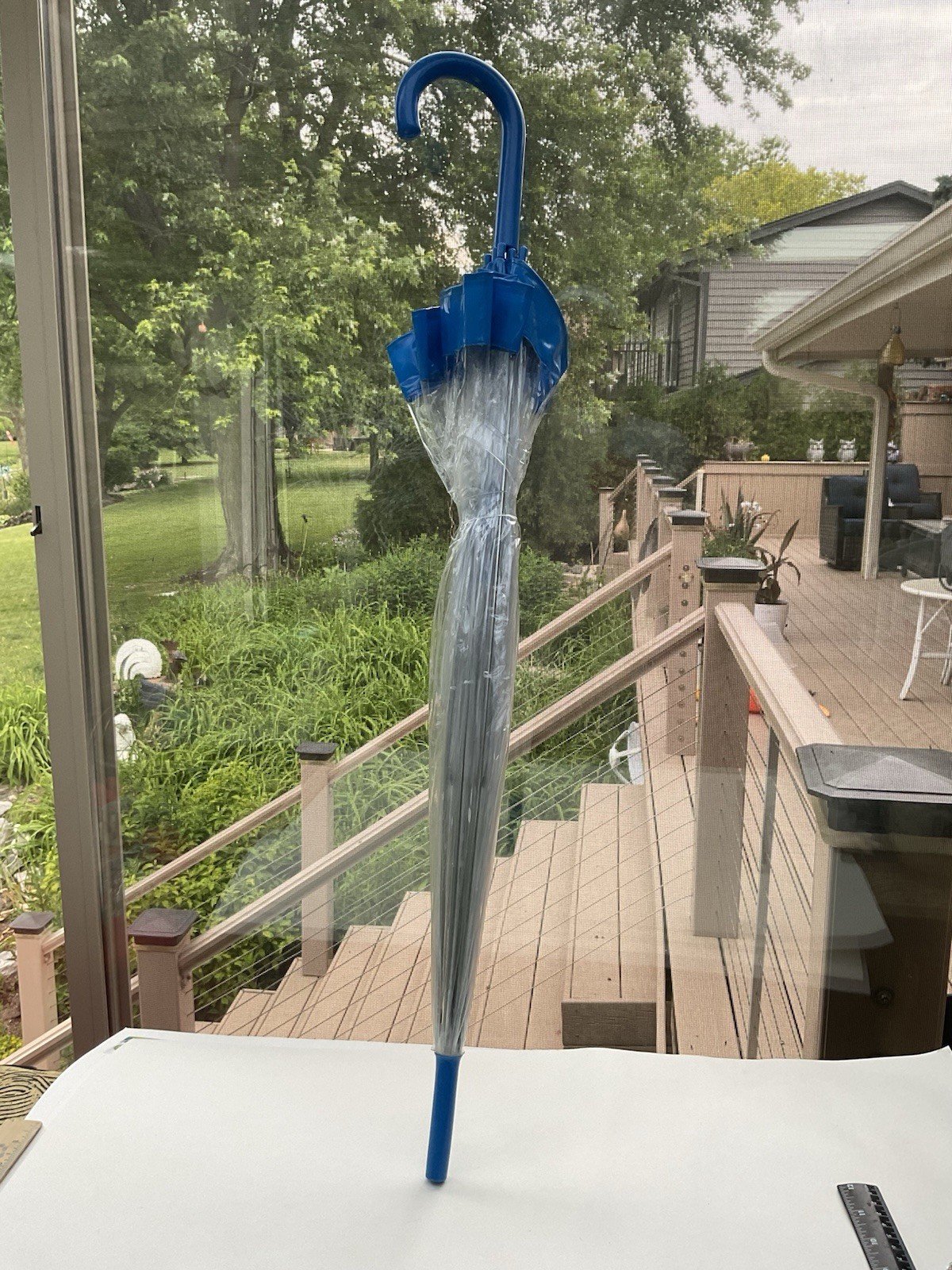 SHAW Creations Clear Vinyl Umbrella With Sturdy Blue Top And Handle 34 Inch