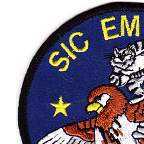 VAW-116 Patch Sic Em Baby Hawkeye
