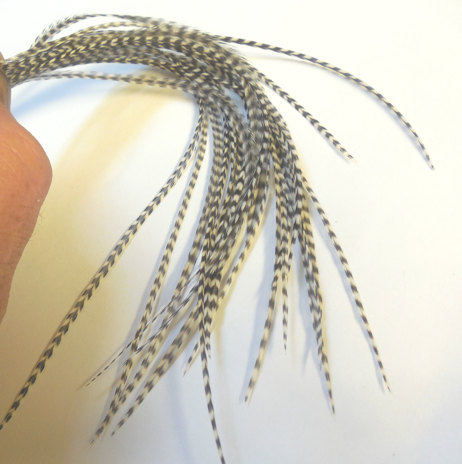 25 Whiting 6-9" Grizzly Rooster Saddle Hackle Feathers Hair Extensions Crafts