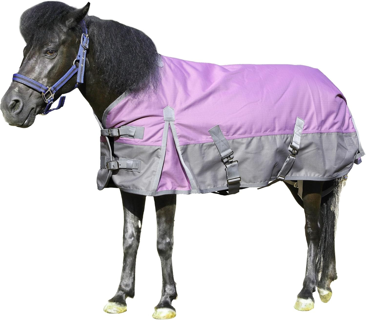 1200D Ripstop Mini Horse/Pony Blanket, Medium Weight 200G Fill - Waterproof Brea