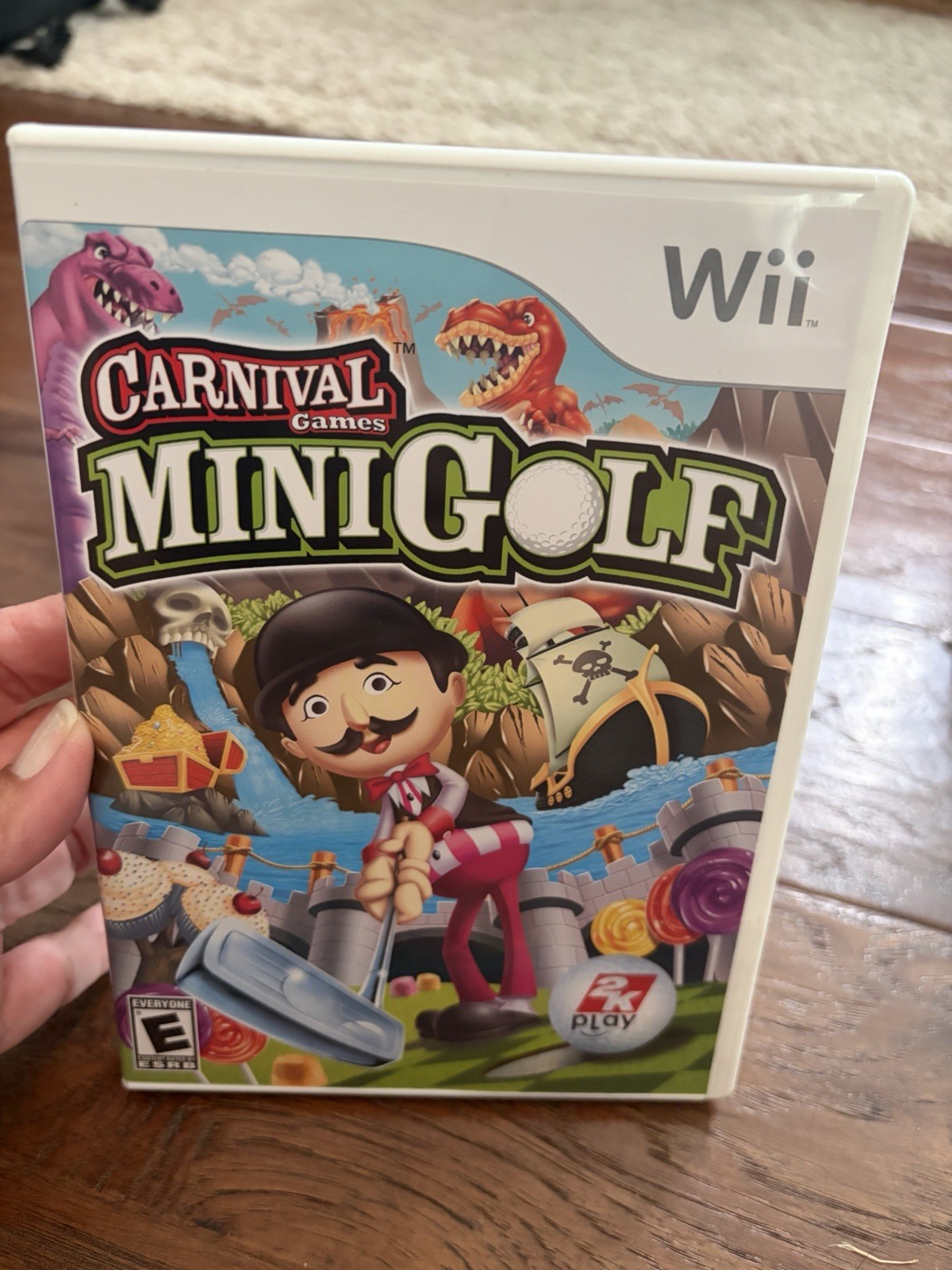 Carnival Games Minigolf Nintendo Wii CASE & MANUAL ONLY