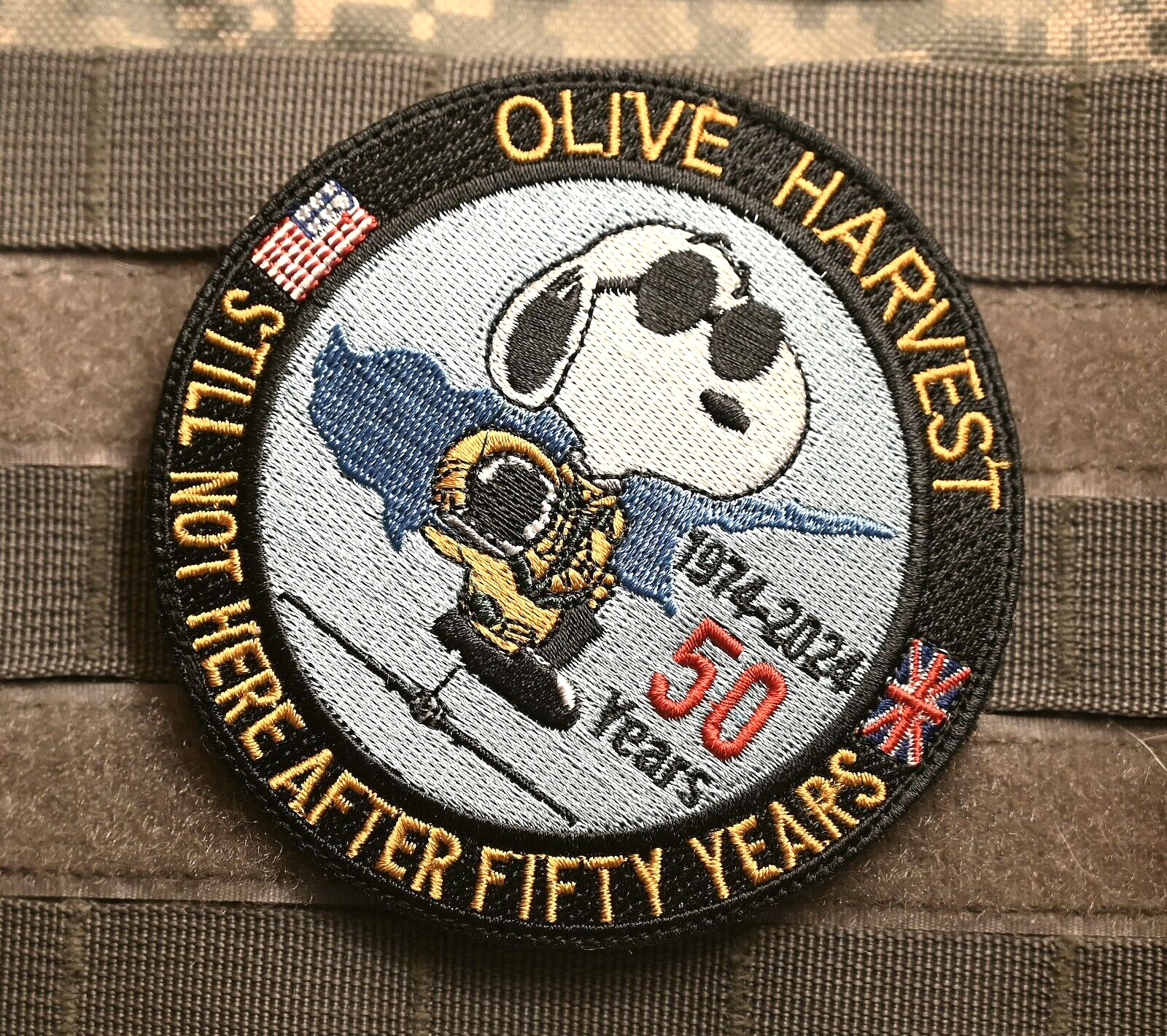 JIATF JOINT INTERAGENCY TASK FORCE SOUTH vêlkrö PATCH: COMMITTED TO EXCELLENCE