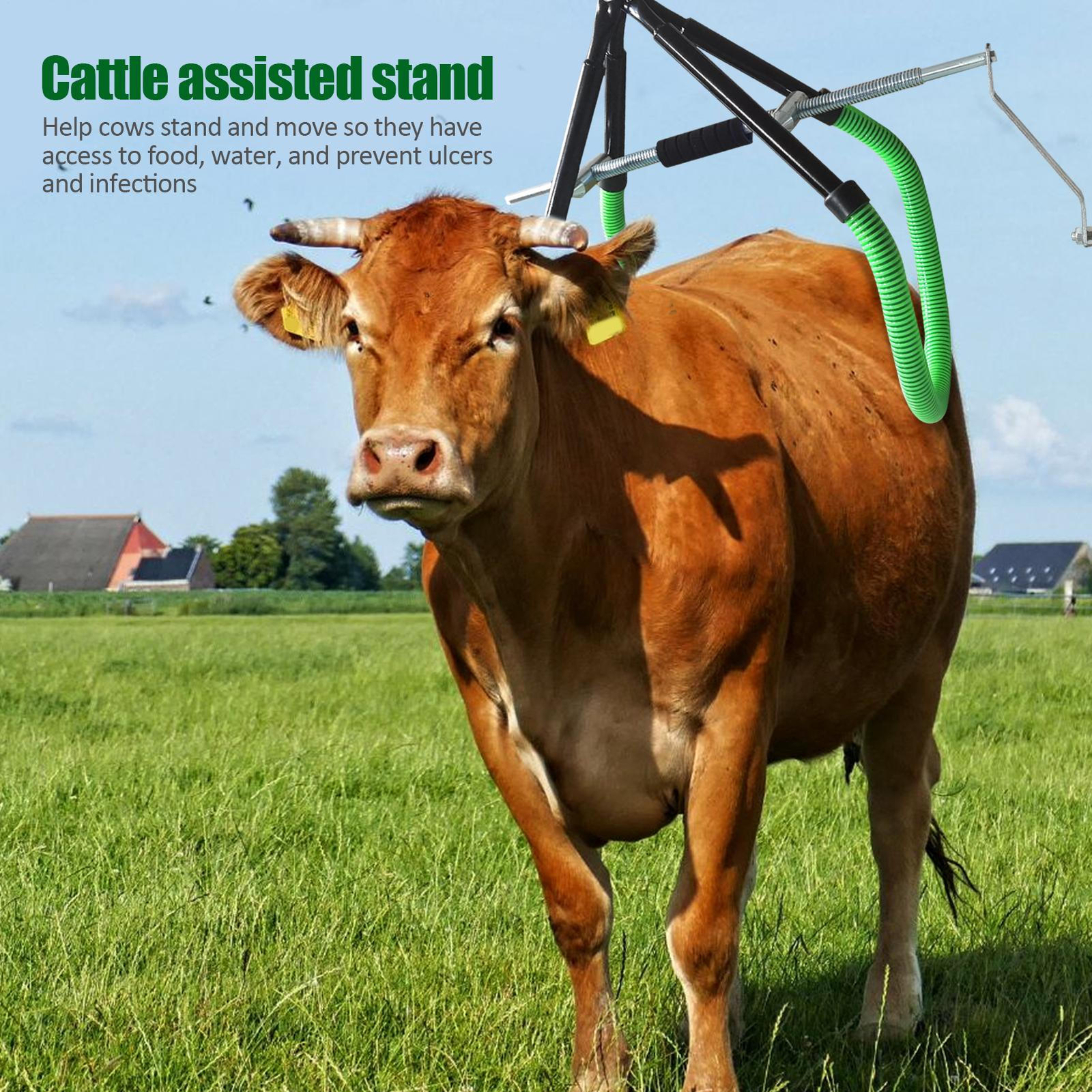 Cow Hip Lift OB Calving Milking Birthing Lame Cow 2200LB Adjustable Clamp New--
