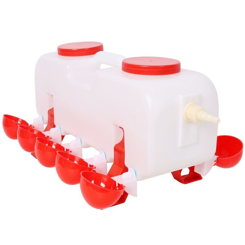 Drinker Automatic Chicken Waterer w/10 Drinking Cup, for Chickens Ducks Poultry