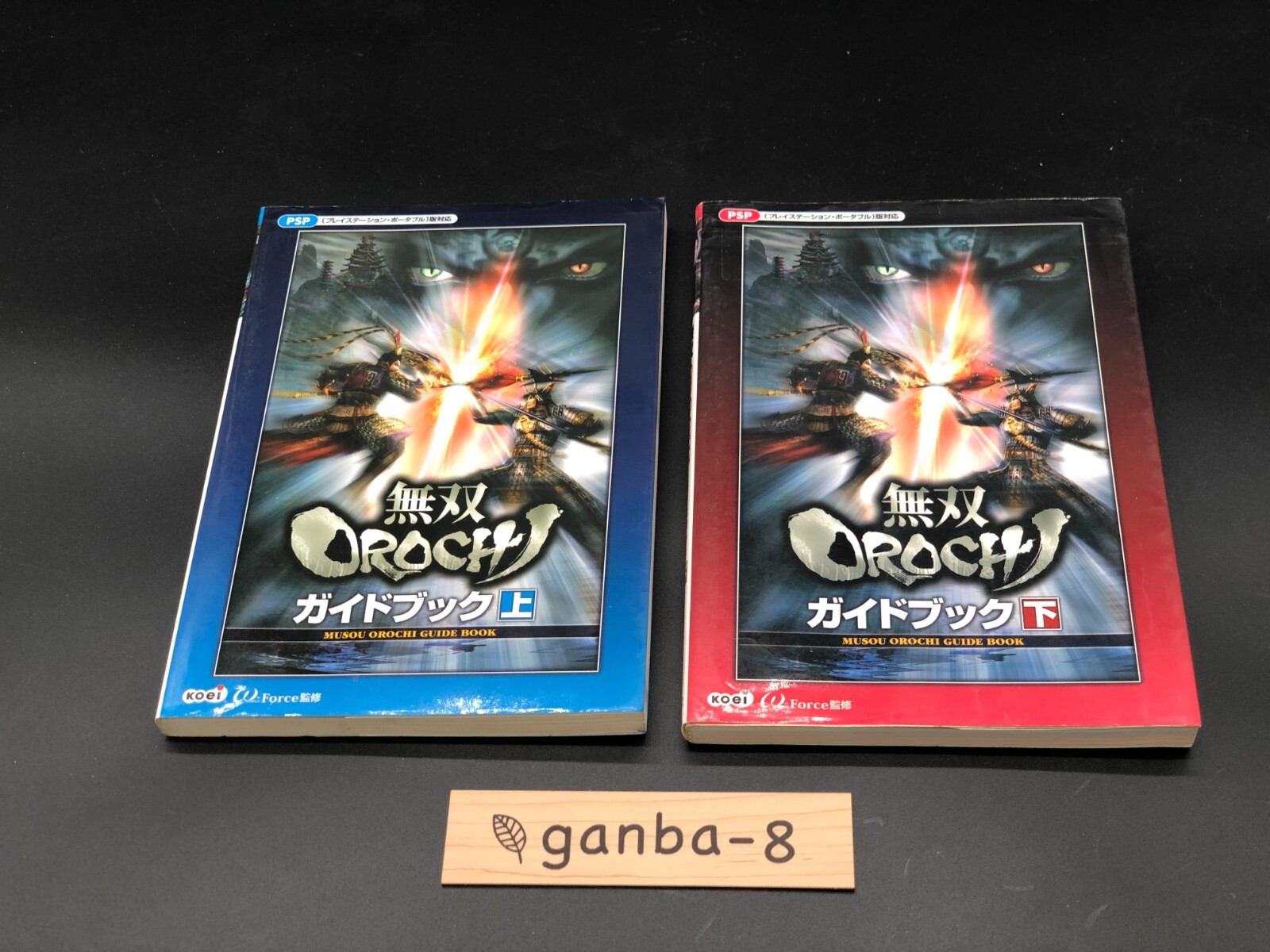 Musou OROCHI guidebook top and bottom from japan