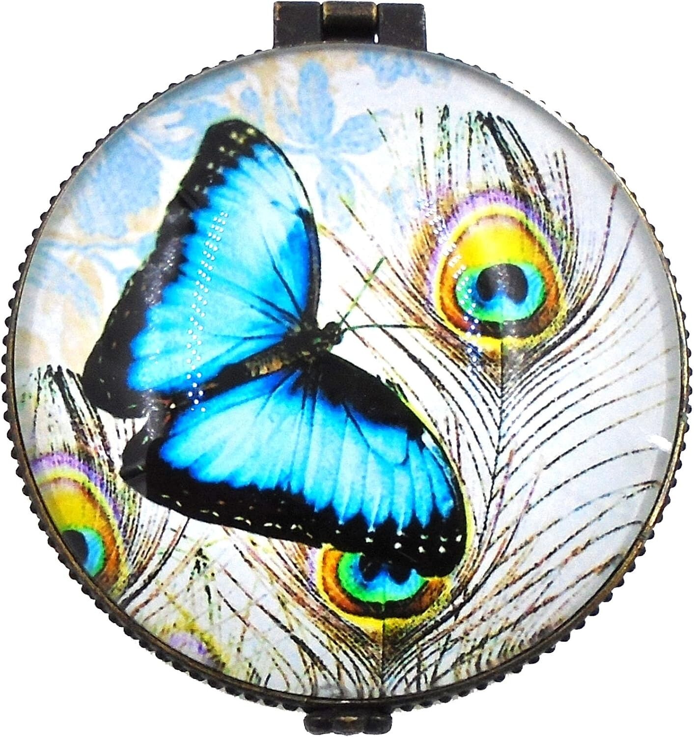 "Blue Butterfly and Peacock Feathers" Porcelain Hinged Trinket Box