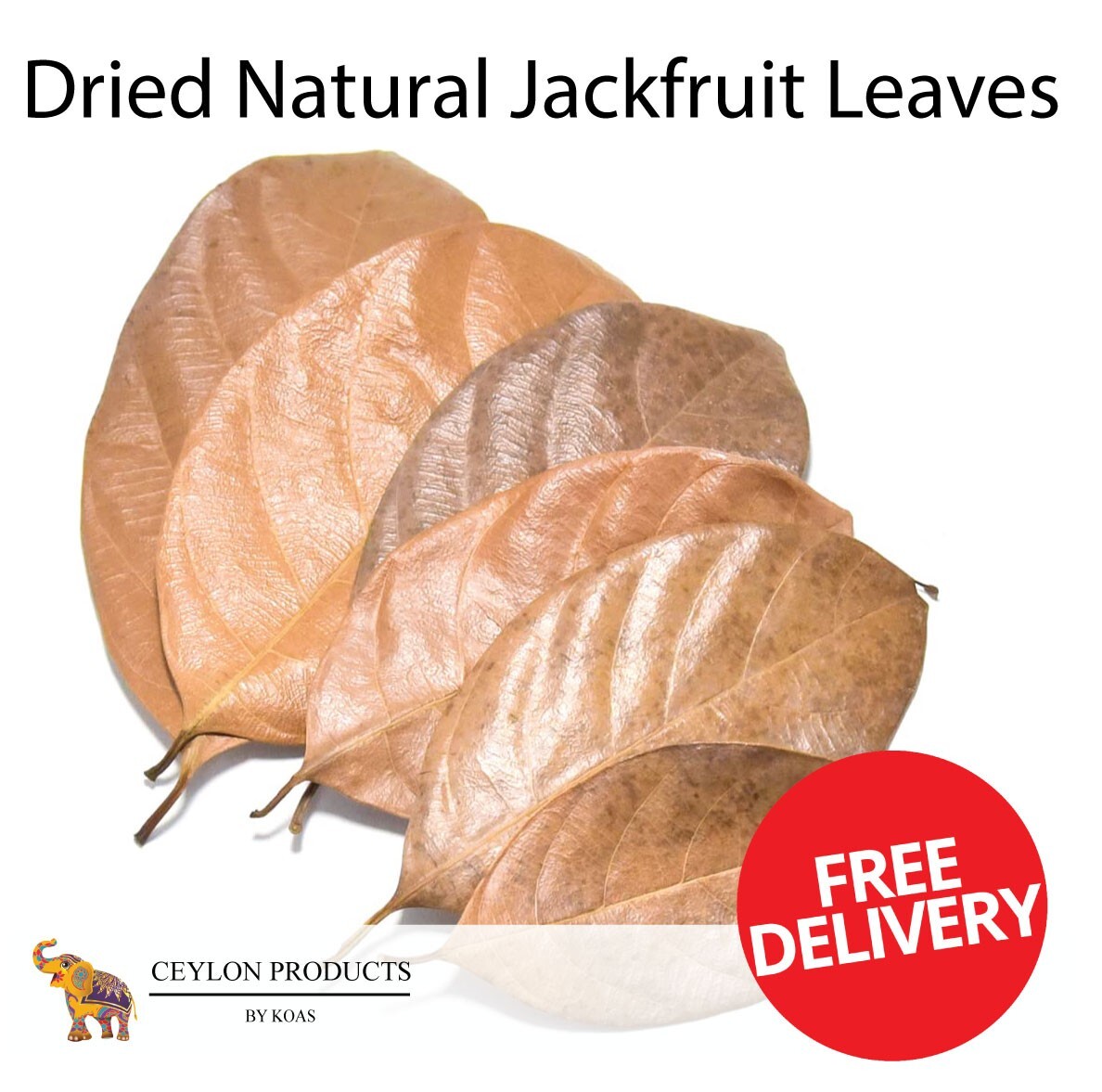 ✅ Jackfruit Leaves Natural Dried Jack leaves Organic Bio Fish Aquarium Ceylon