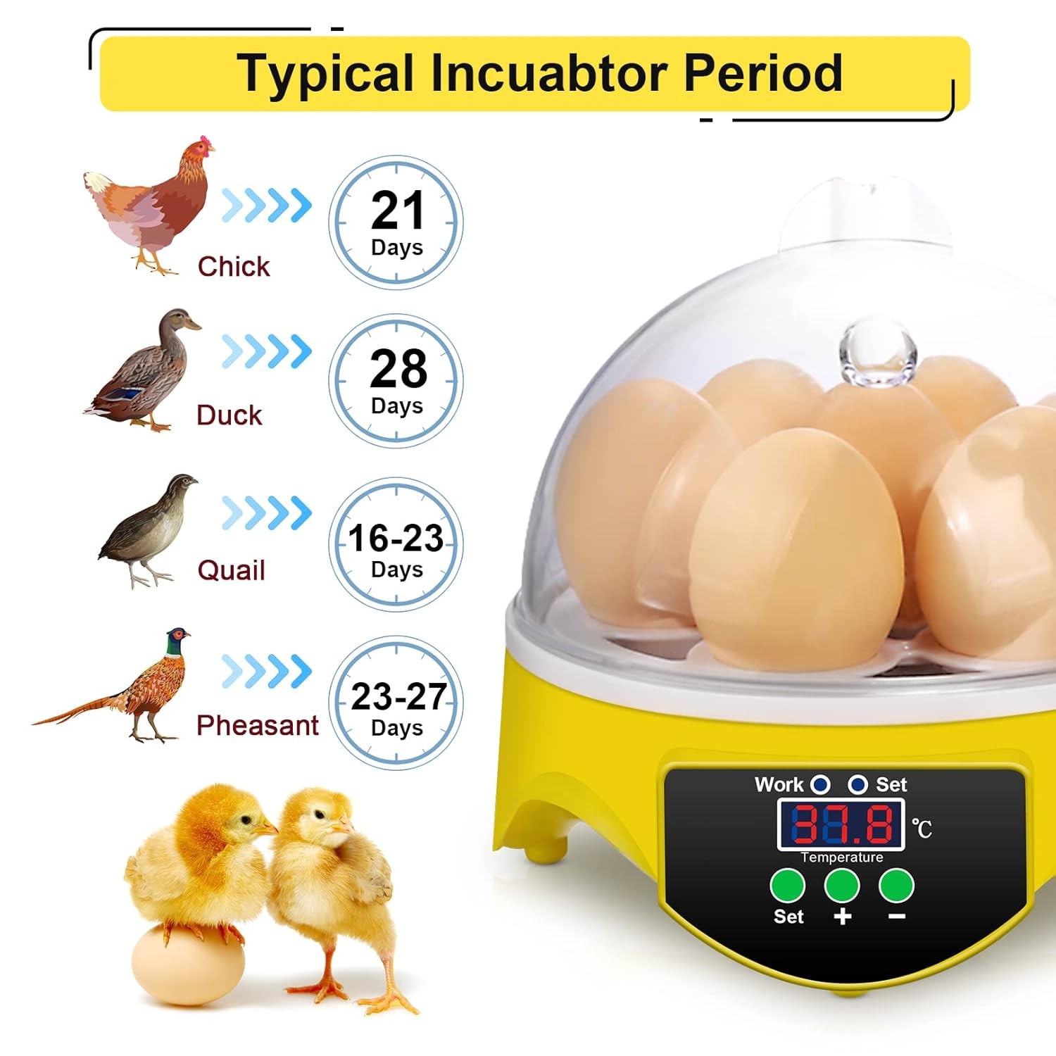 7 Egg Mini Incubator for Kids & Beginners 360° View Manual Temperature Control