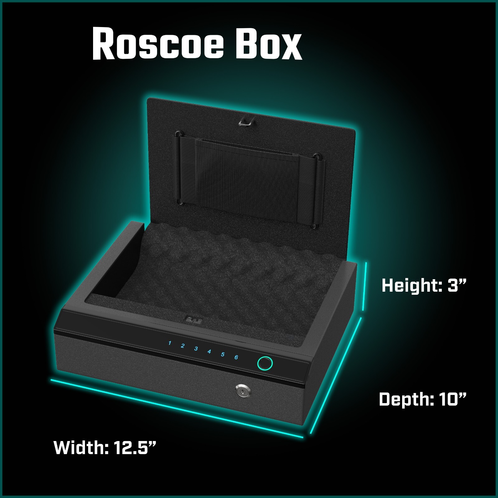 Biometric Gun Safe - Fingerprint, Digital Code, Backup Key, Use cord to plug in
