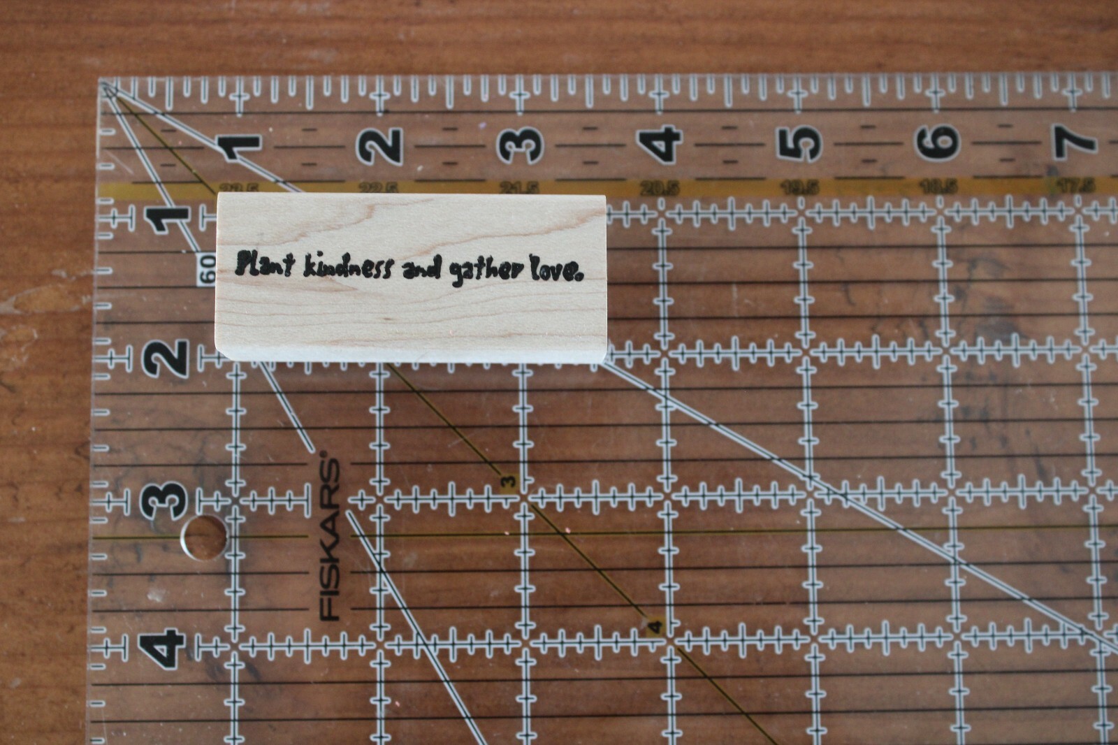 NEW Stampotique Janet Klein PLANT KINDNESS AND GATHER LOVE Phrase Rubber Stamp C