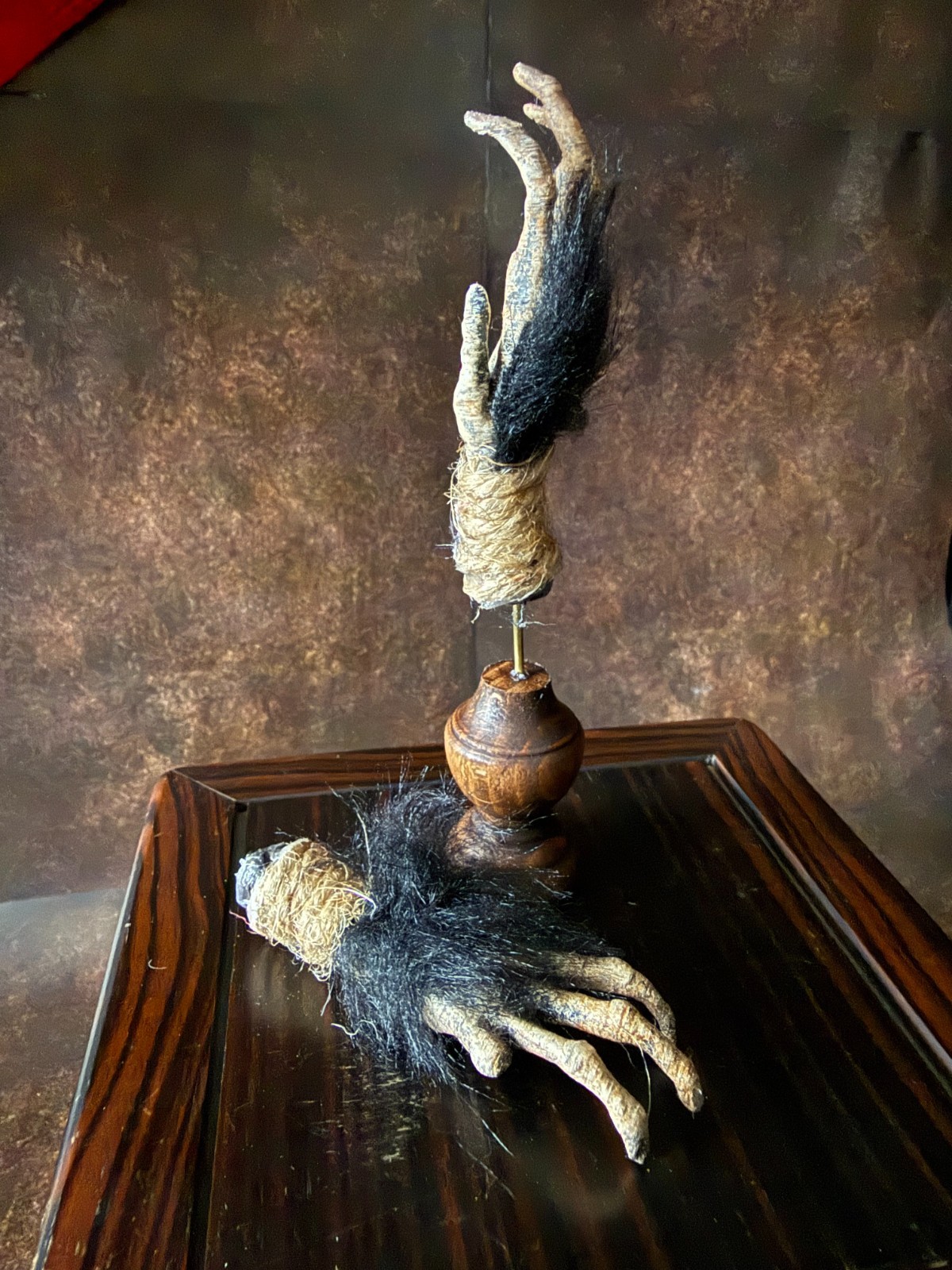 Cursed Monkey Paw for curiosity cabinet Mounted (small)
