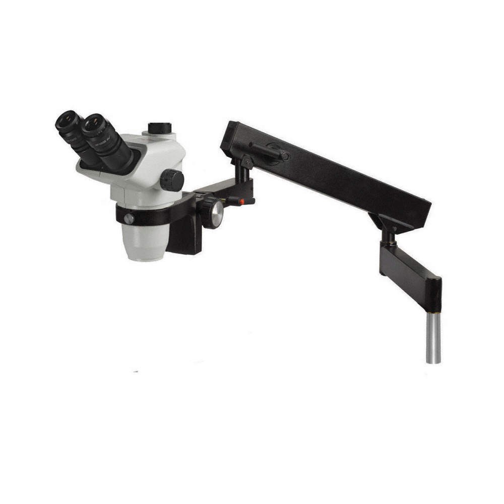 ACCU-SCOPE 3076-FA Microscope,24in.Hx36in.W,52lb. 32WA99