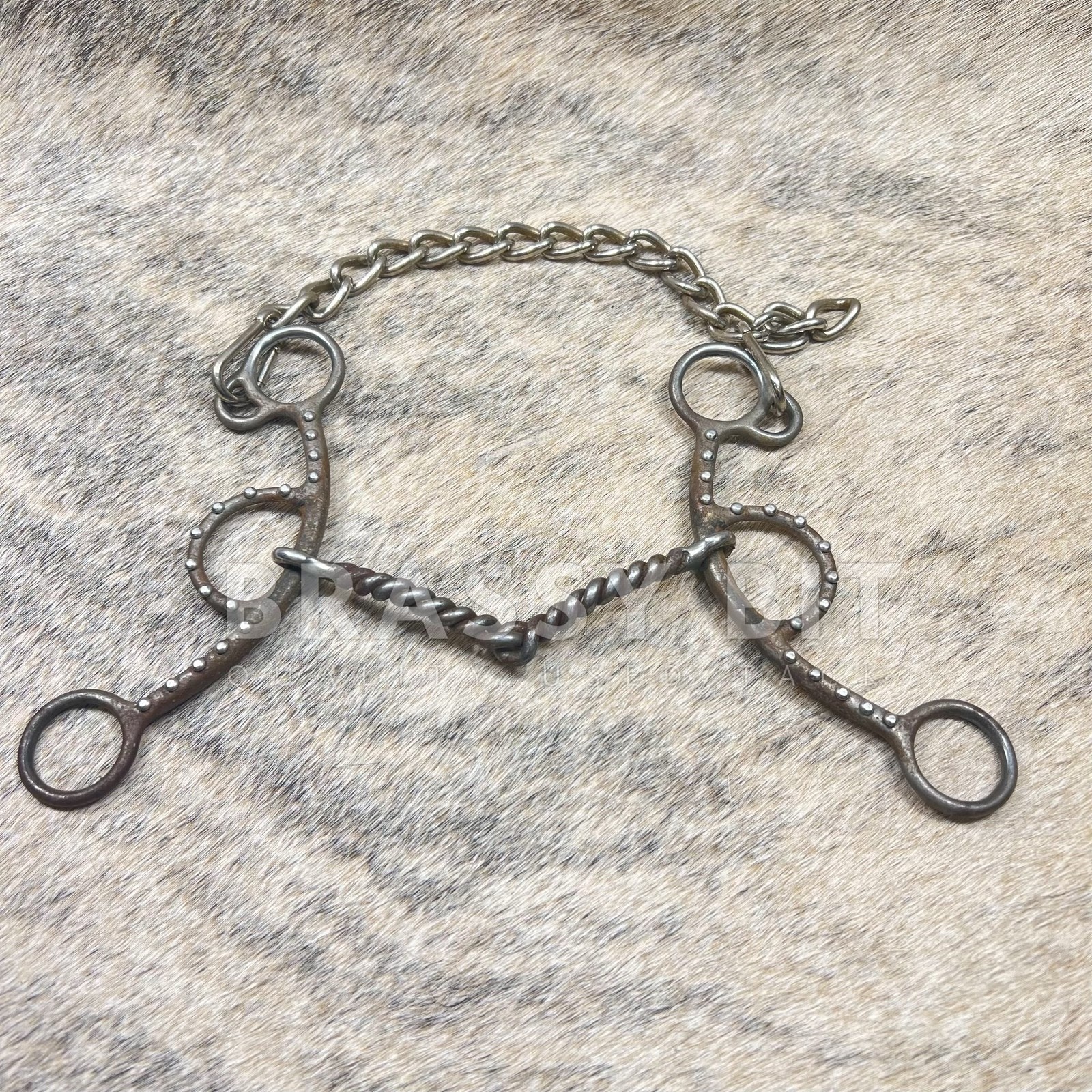 5" Dotted Fancy Limited Action Gag Bit