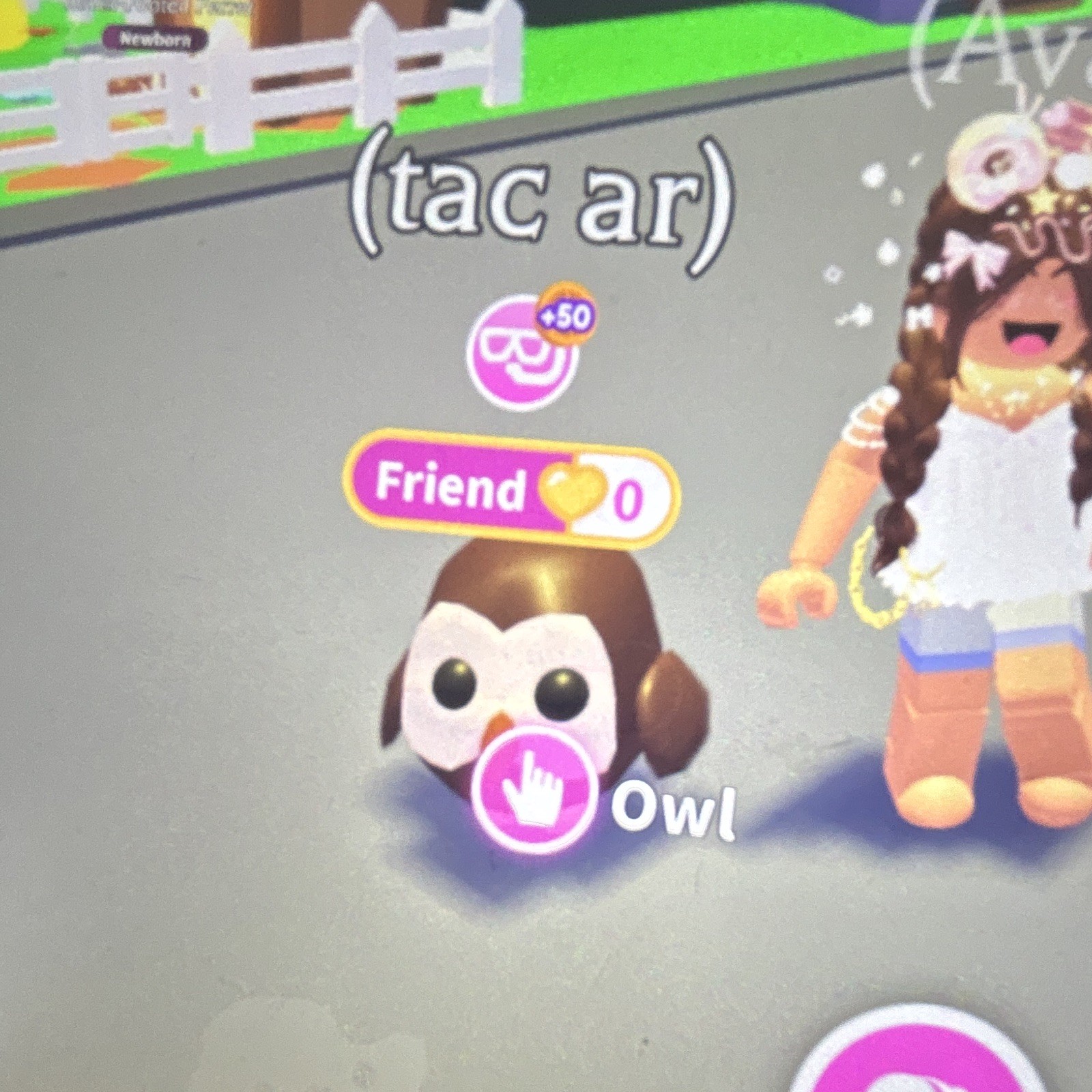 Adopt Me! Owl Pet - CHECK DESCRIPTION