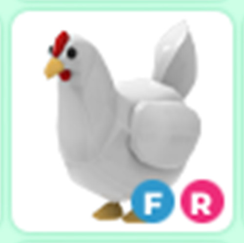 Chicken - Adopt right now