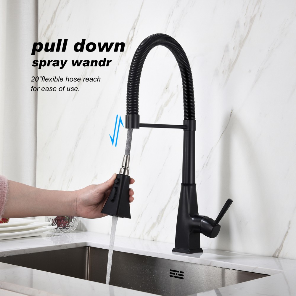 Kitchen Faucet with Pull Down Sprayer Single Handle High Arc Stainless Steel
