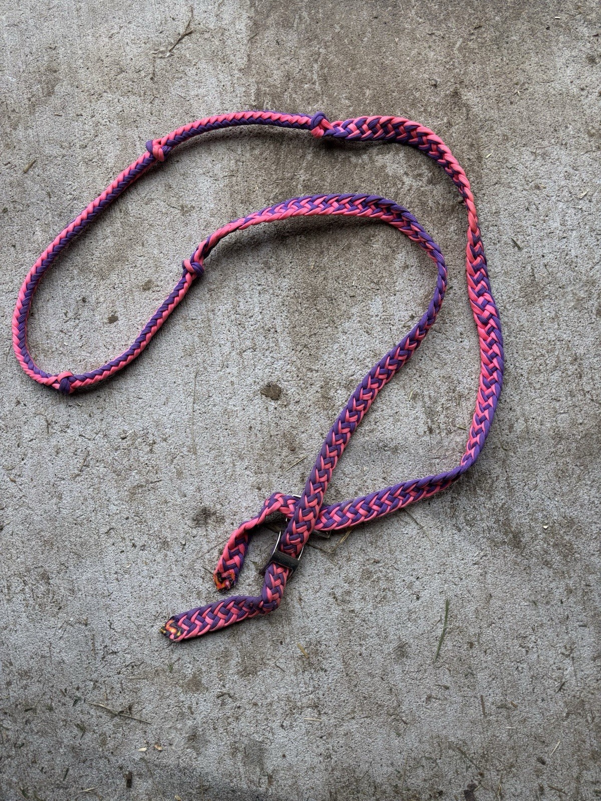 Braided horse Rains