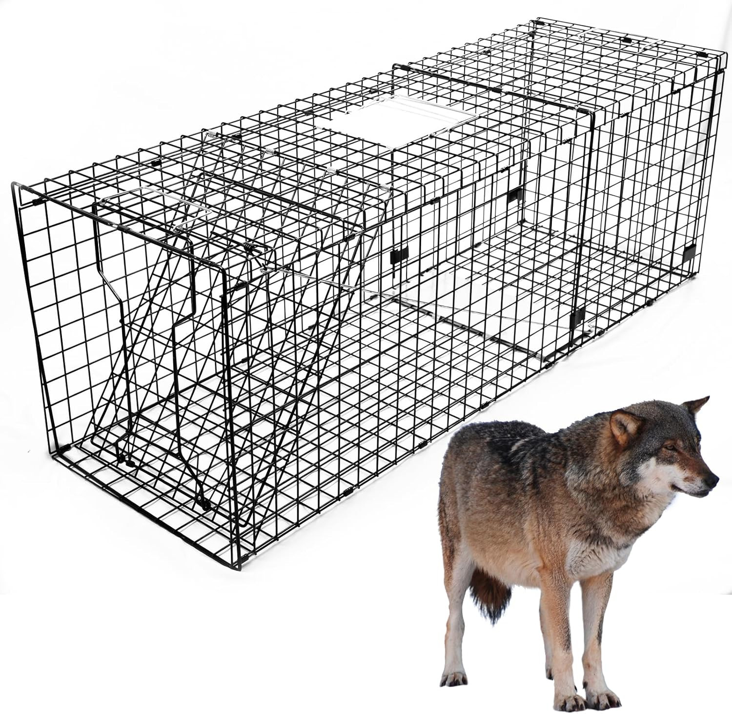 Extra Large Heavy Duty Live Trap with Humane Release for Large Animals