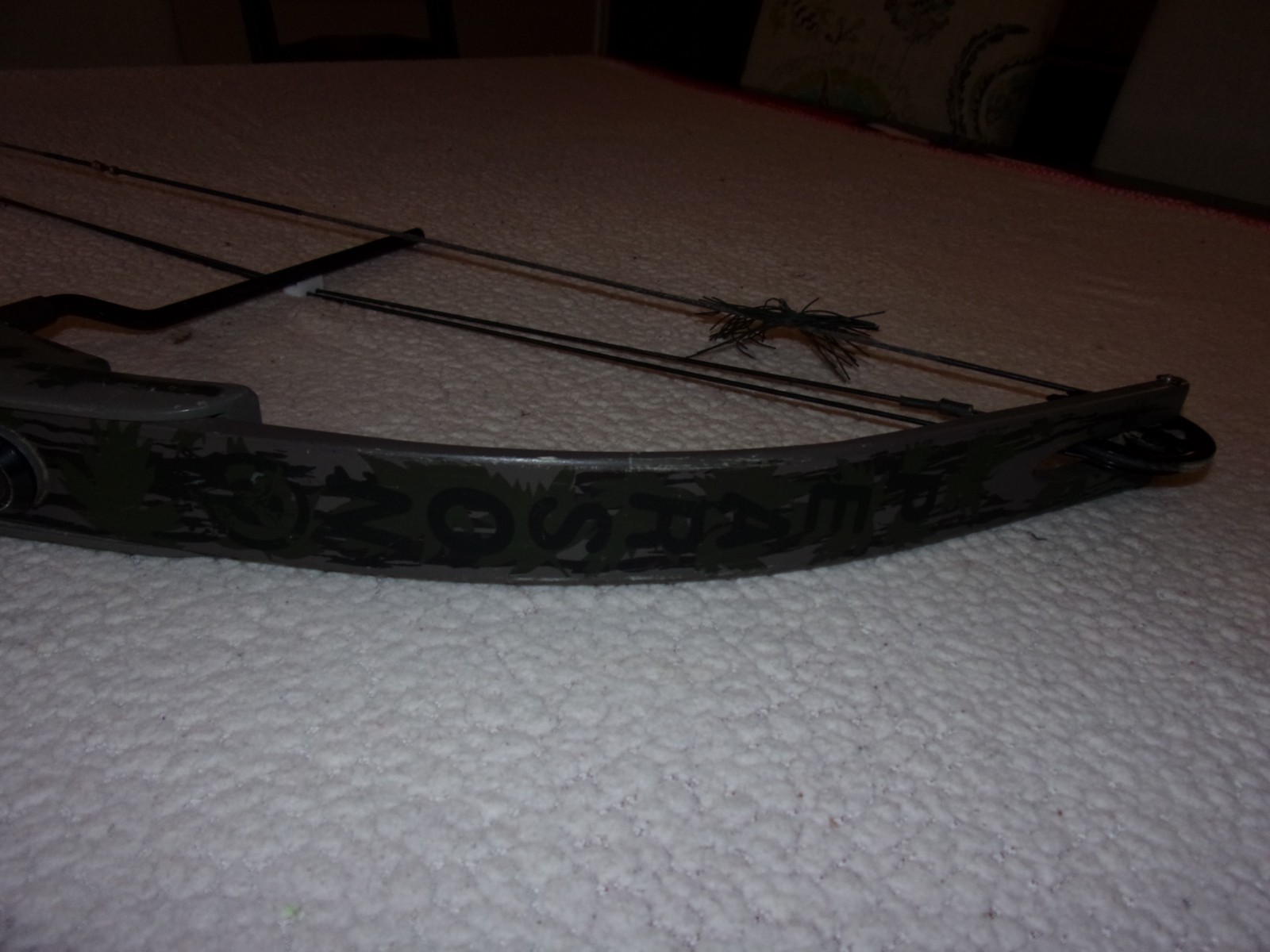 Ben Pearson Compound Bow