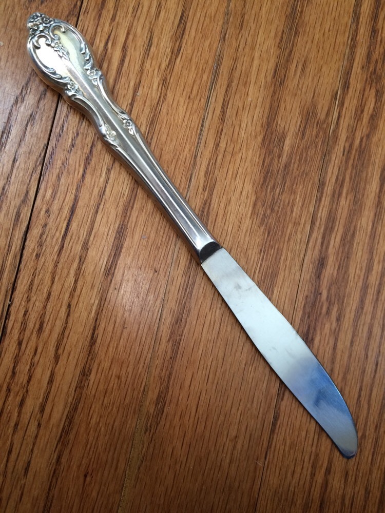 Rogers Bros International Silverplate SOUTHERN SPLENDOR Hollow Dinner Knife 8+"