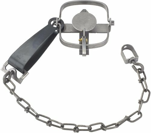 12 Duke #1 Long Spring Traps 0310 Mink Muskrat Nuisance Control Trapping 4"